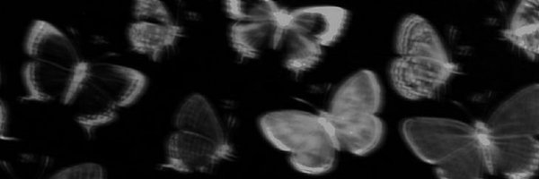 TaySwag Profile Banner