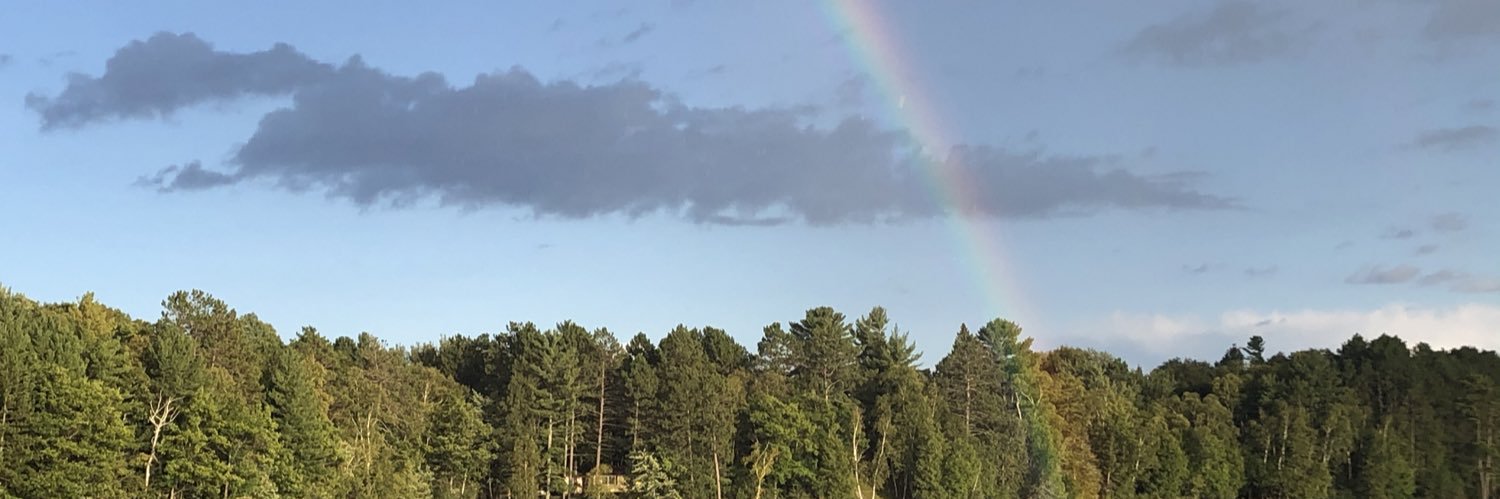 Regan Murphy (former Mayor) banner