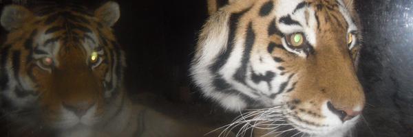 MarkLRandall Profile Banner