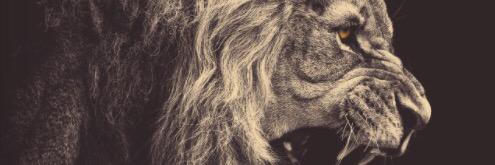 Keegan_Wynja's profile banner image