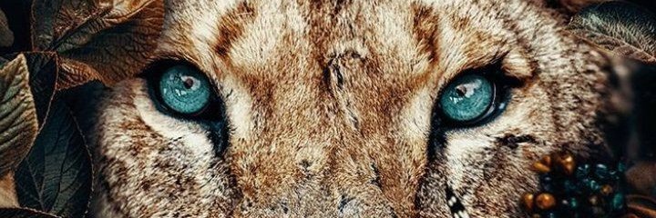 andra_nn's profile banner image