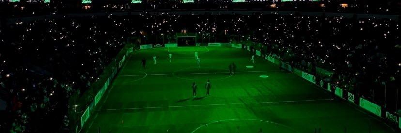 Dallas Sidekicks banner