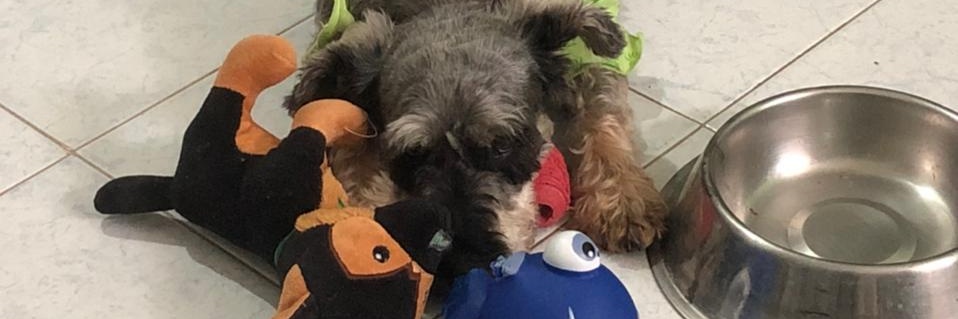 AleeMoontess's profile banner image