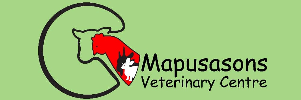 mapusa banner