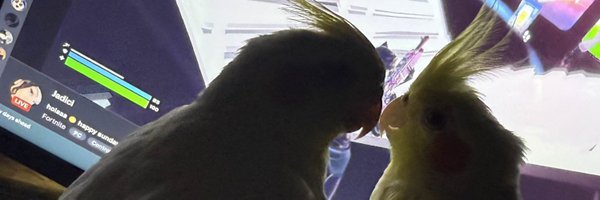 jadici_ Profile Banner