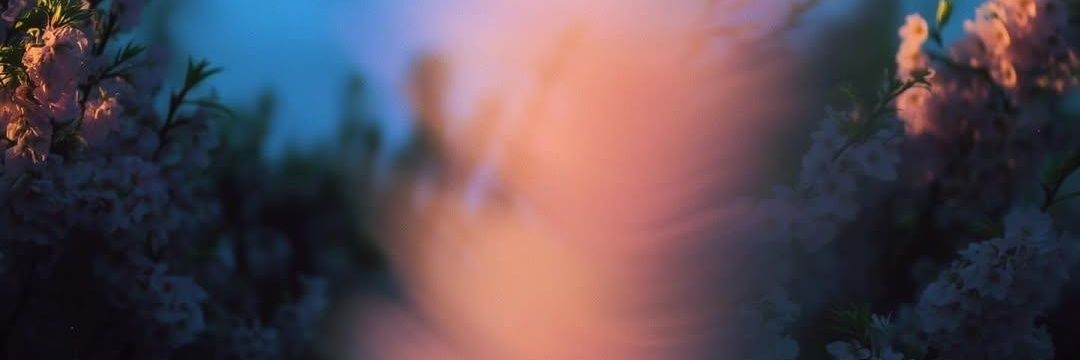 _danialerp's profile banner image