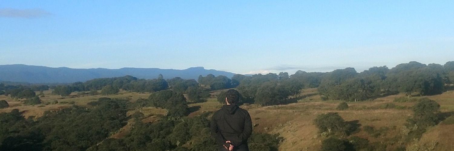 SonneRevsson's profile banner image