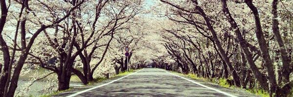 yueseizu's profile banner image