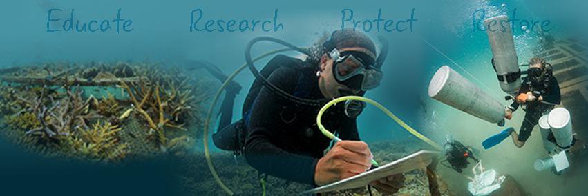 NHRCP's profile banner image