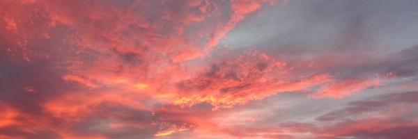 ImJustGale's profile banner image