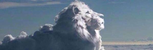 samjbiii's profile banner image