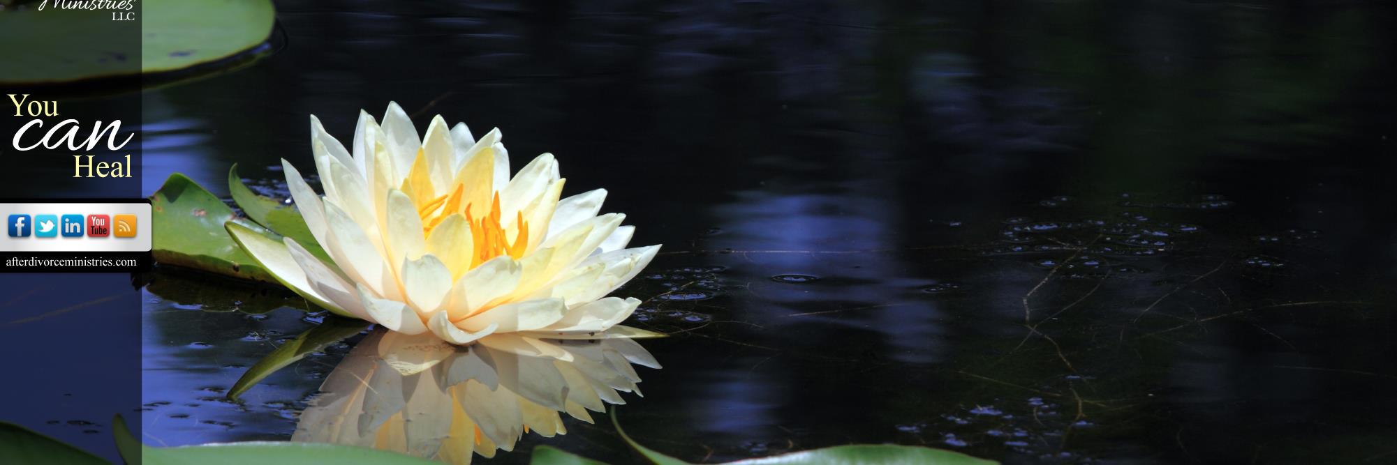 ReneeEttline's profile banner image