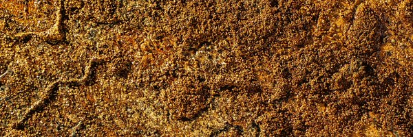 cubenx Profile Banner