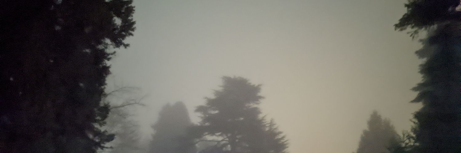 Sebasp41's profile banner image