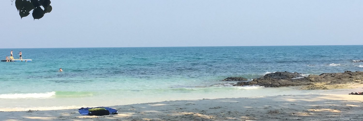 Zoe Perry banner