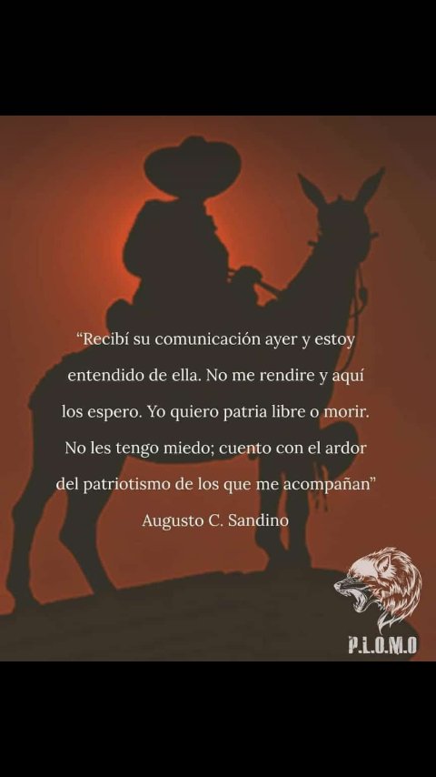 PapiSandinista's profile banner image