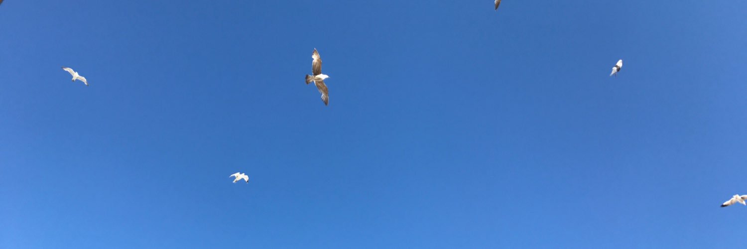 mattywisey's profile banner image