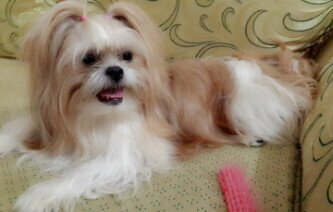 angelineee12's profile banner image