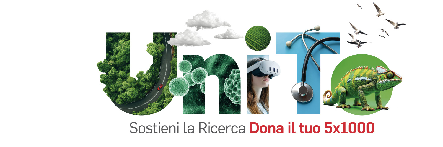 Università di Torino banner