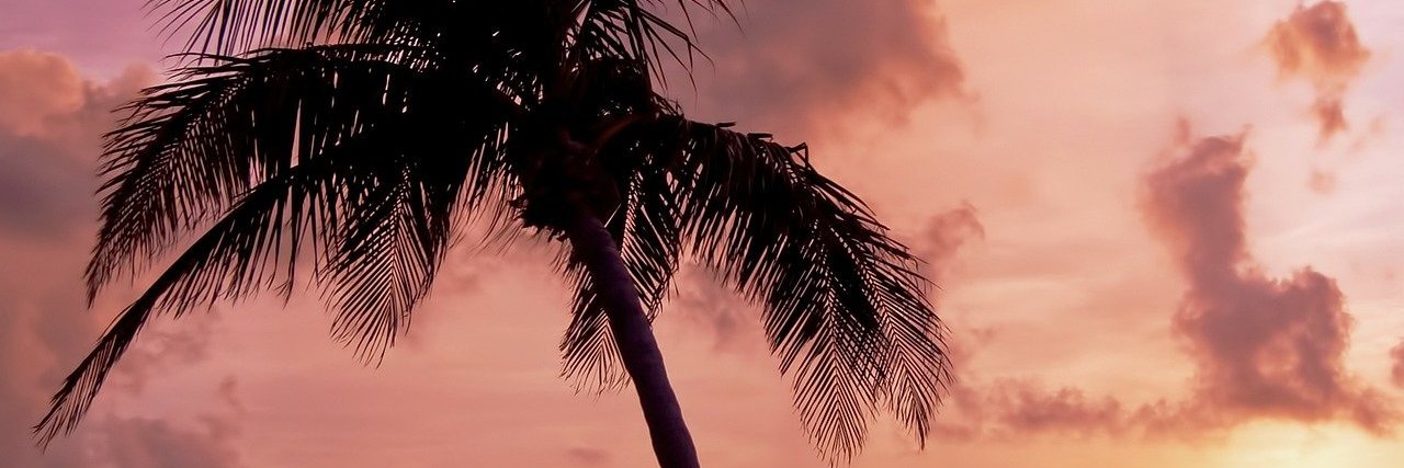 Kelly Herring banner