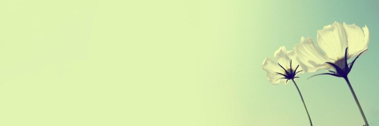 linneahubble's profile banner image