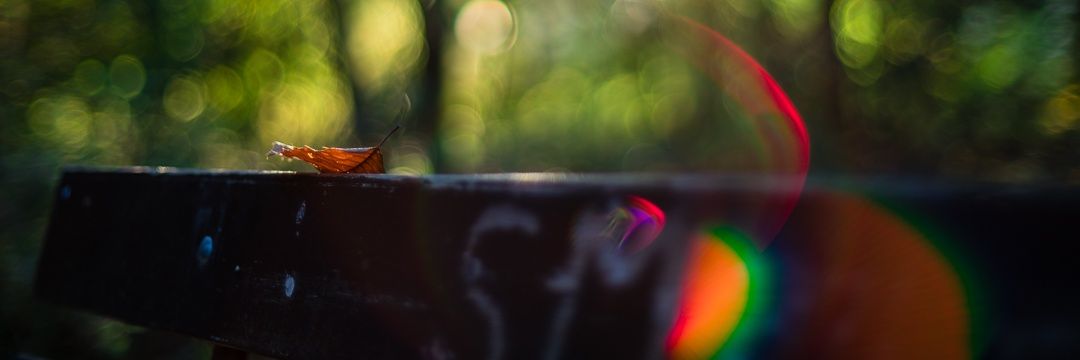 PCVXD's profile banner image