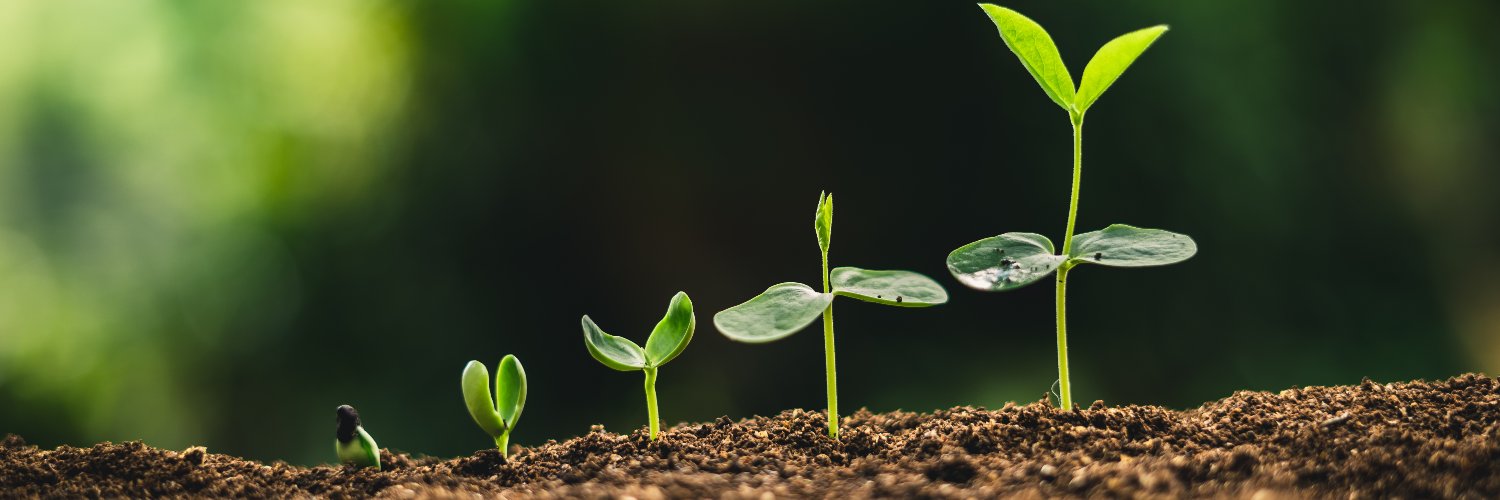 Anna Talerico banner