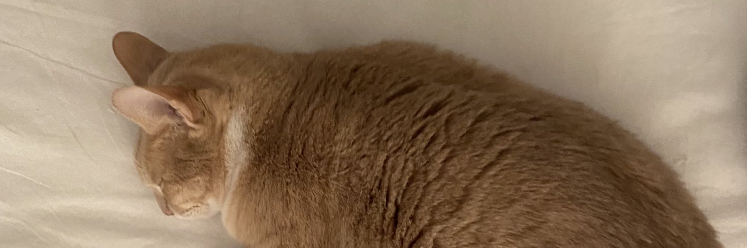 Dan banner