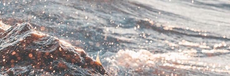 amntw12's profile banner image