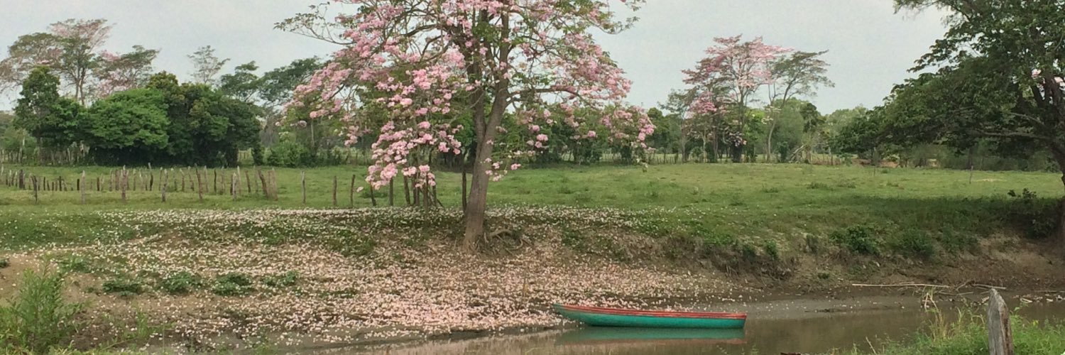amocatazaja's profile banner image