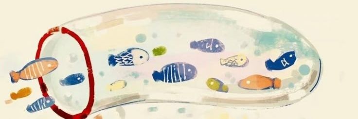 sunlightiny's profile banner image