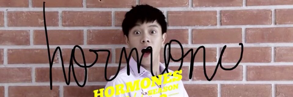 ต้า_นดบ. 52031 banner