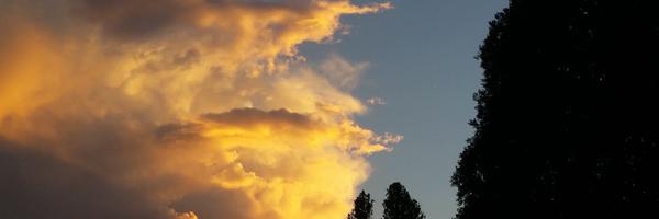 BevMcKenna Profile Banner