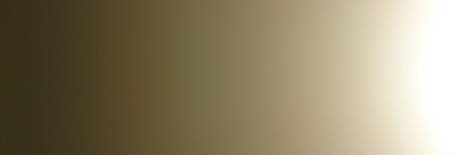 RobinDavid3429's profile banner image