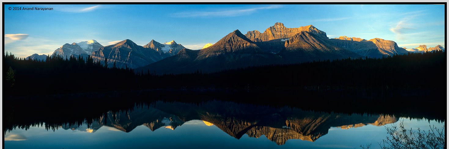 ChilledSilver banner