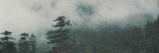 0ddAsACod_'s profile banner image