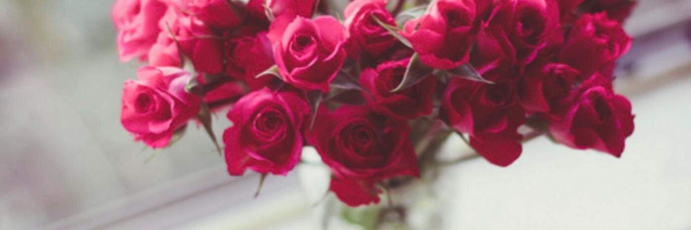 HannahRoseP91's profile banner image