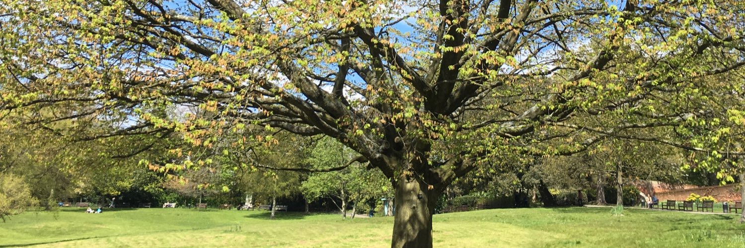 Claireycloos's profile banner image