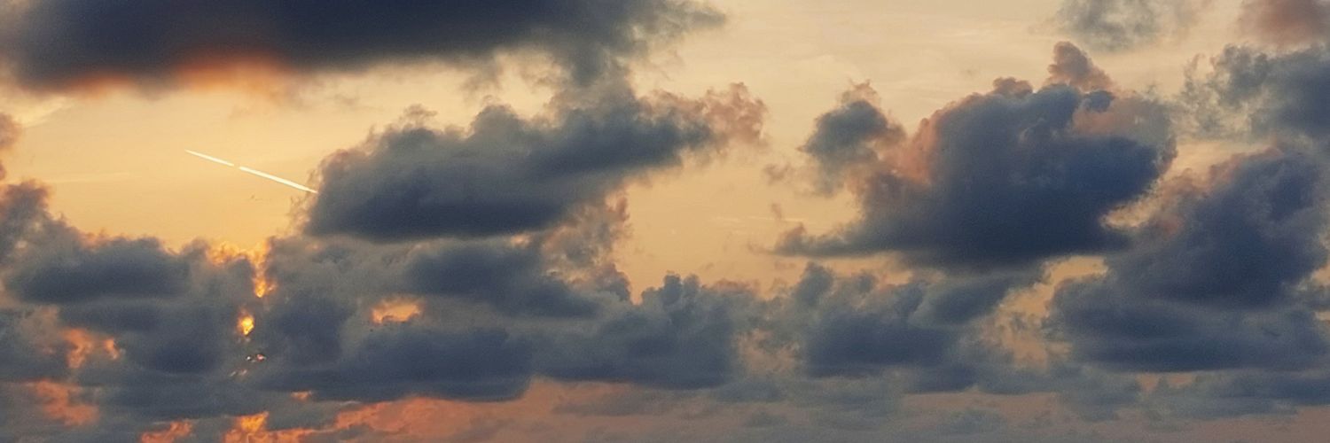eiisaturn's profile banner image