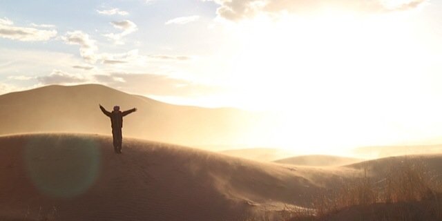 vittoriozincone's profile banner image