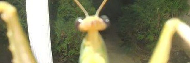AbduNaber's profile banner image