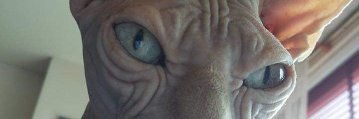 TtyBianca's profile banner image