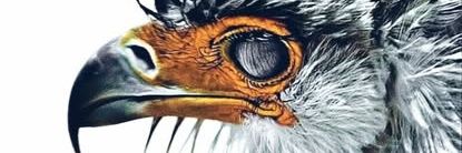 AL_TeleB's profile banner image