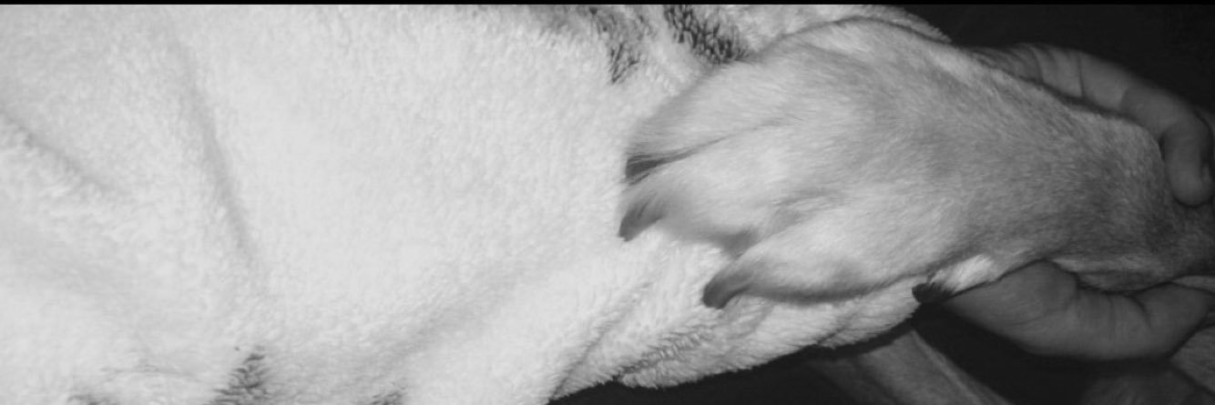 _MeganWrightx's profile banner image
