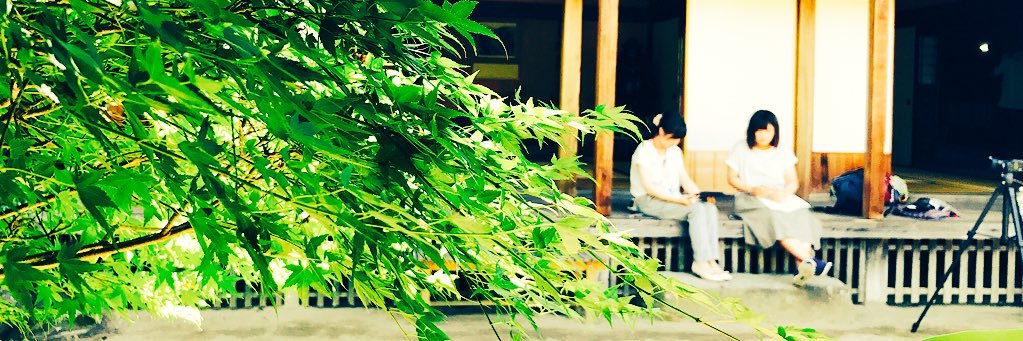 07301866's profile banner image