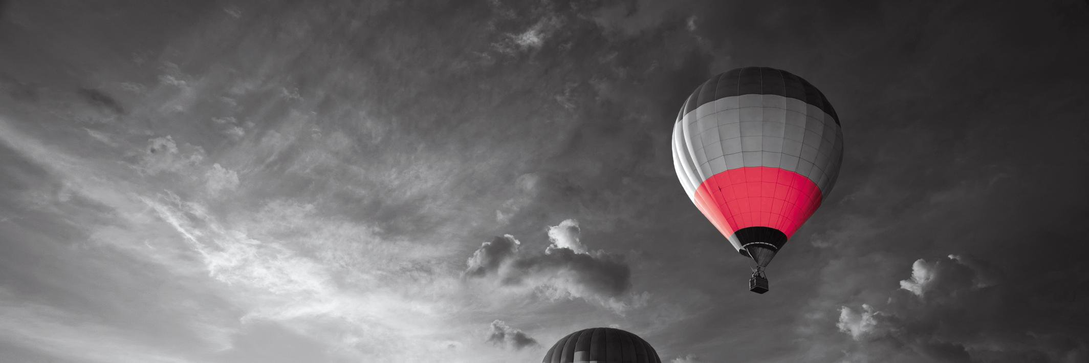 Atradius Collections banner