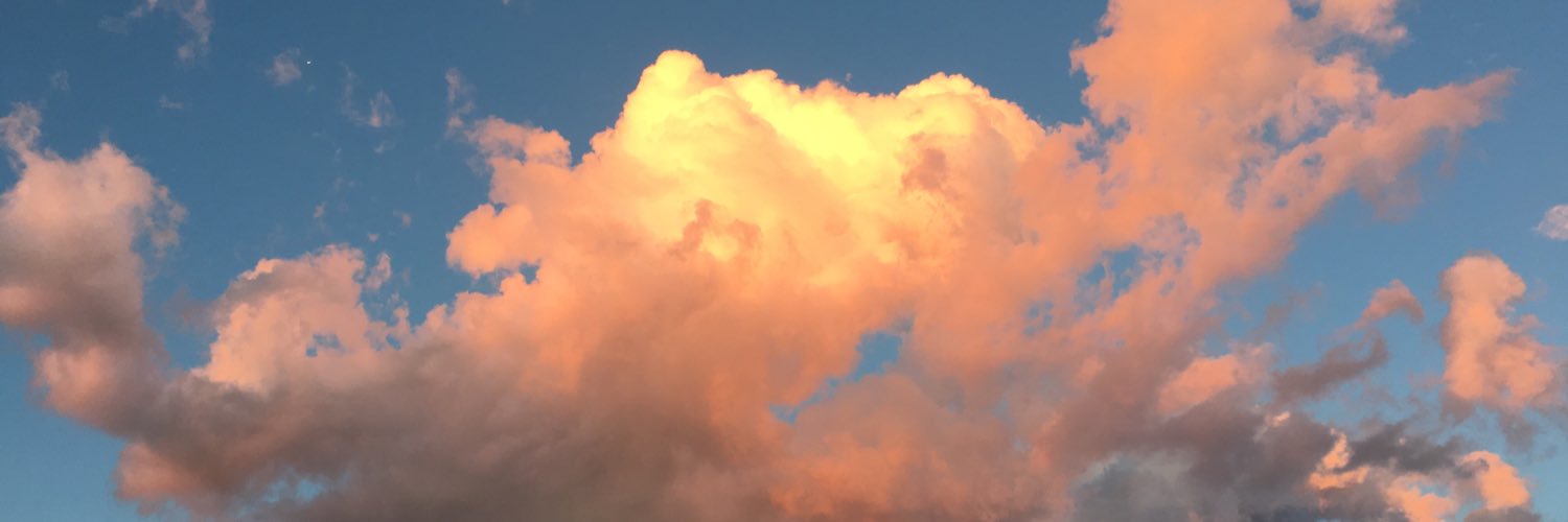 RichardDGResist's profile banner image