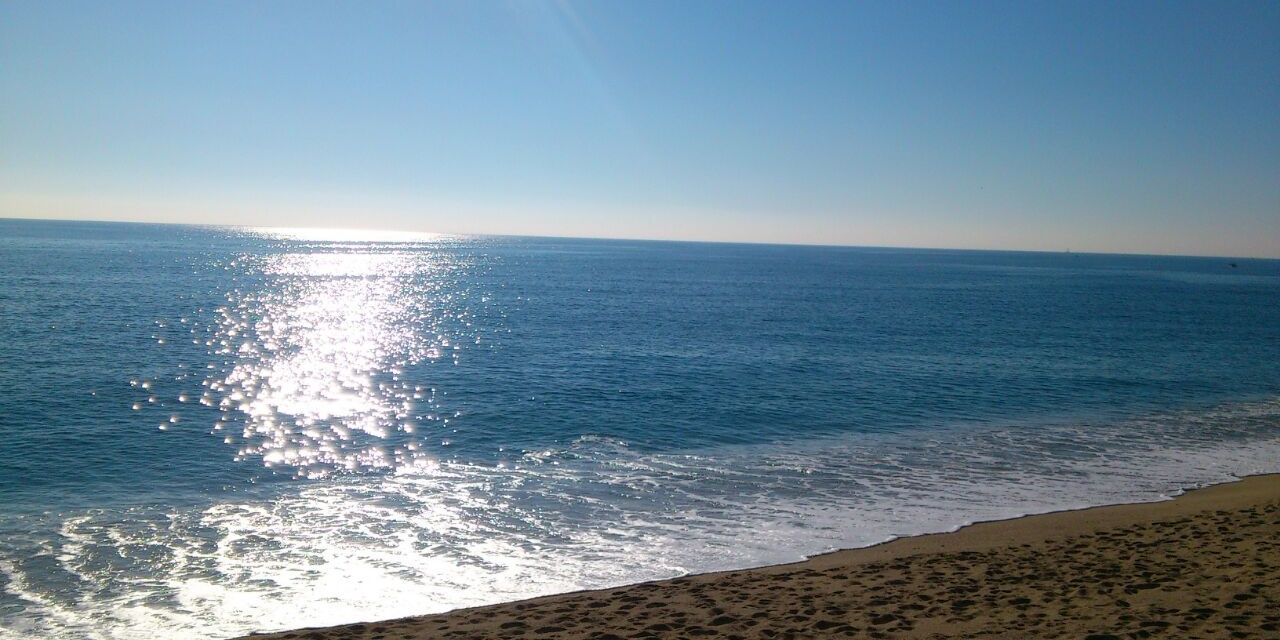 montse sàbat 💝 banner