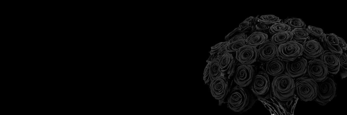 iyusha's profile banner image