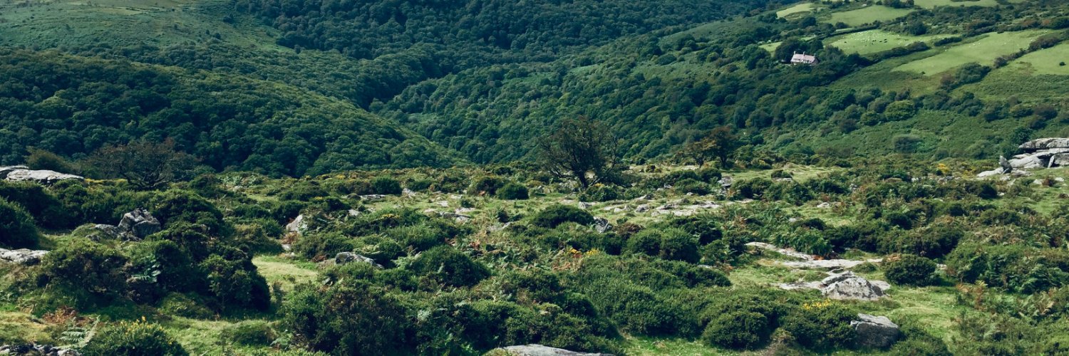AlanaBloom's profile banner image